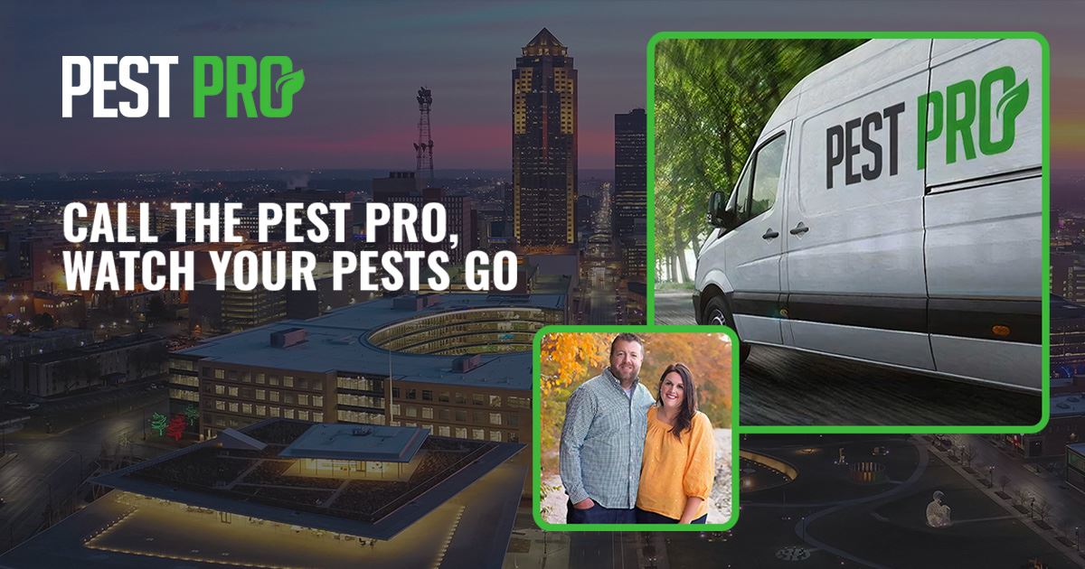 Pest Control in Des Moines, IA Pest Pro