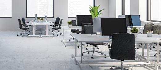 Commercial Pest Control